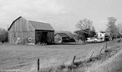 Barns