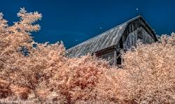 Barns