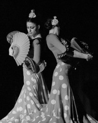 Flamenco