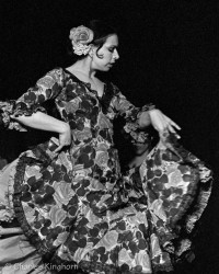 Flamenco