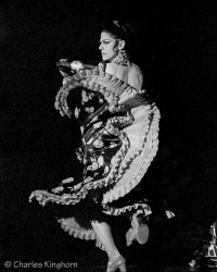 Flamenco