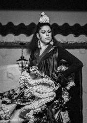 Flamenco